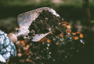 Person holds a shovel with soil