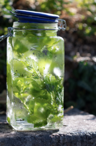 A one litre jar of refreshing water with mint